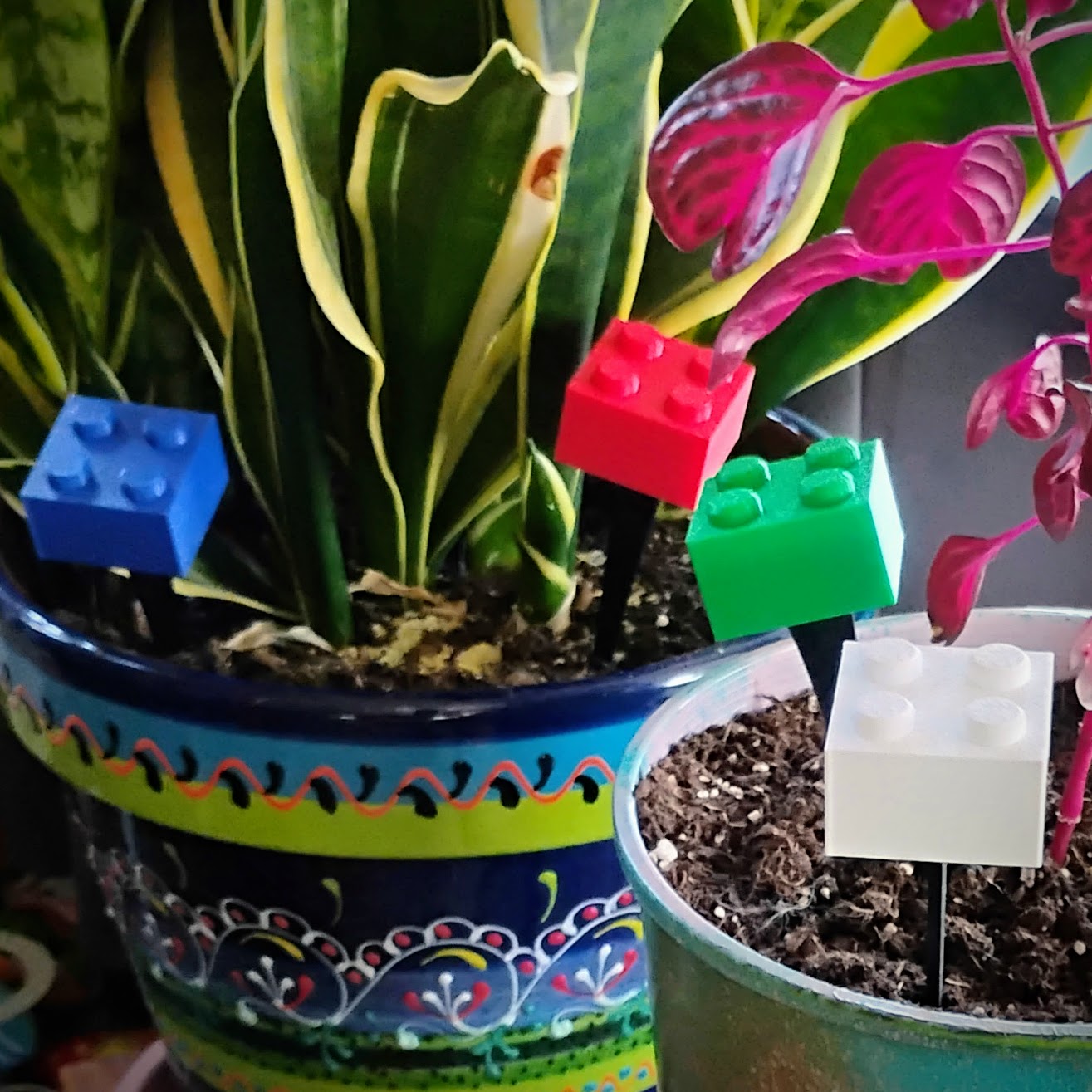 Red, blue, green and white building brick plant stakes decorating a colorful indoor houseplant pot.